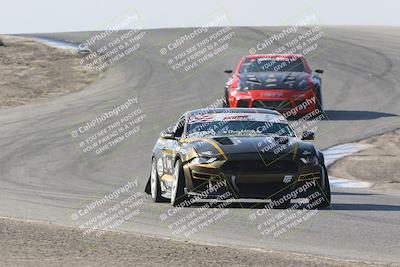 media/Nov-12-2023-GTA Finals Buttonwillow (Sun) [[806b9a7a9a]]/HotPit Autofest/Phil Hill/